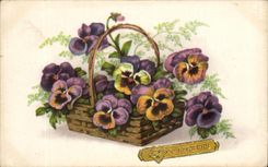 Flores de la fantasia de CPA