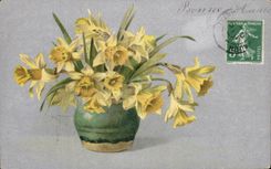 Flores de la fantasia de CPA