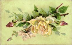 Flores de la fantasia de CPA