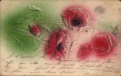 Flores de la fantasia de CPA