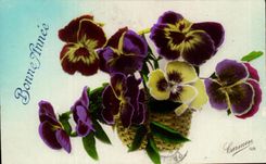 Flores de la fantasia de CPA