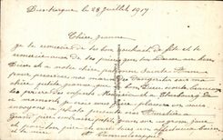 Flores de la fantasia de CPA