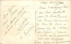 Flores de la fantasia de CPA