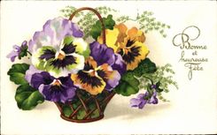 Flores de la fantasia de CPA