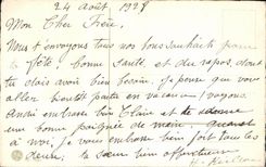 Flores de la fantasia de CPA