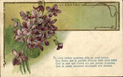 Flores de la fantasia de CPA