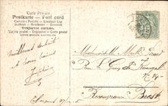 Flores de la fantasia de CPA