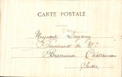 CPA Fantasy Woman Music Through Old the Japan zither