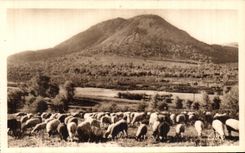 CPA Clermont Ferrand Puy De Dome