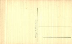 CPA Brussels fall It from a Belgian Unknown soldier Buries lions