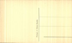 CPA Brussels Palate of the King