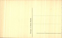 CPA Brussels Park of Laeken the Chinese restaurant