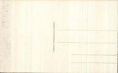 CPA Lourdes the Basilica and the Couronnee Virgin