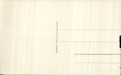 CPA Lourdes the Basilica and Mountains