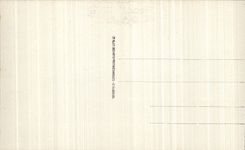 CPA Lourdes the Basilica and Gave