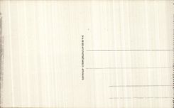 CPA Lourdes the Castle Fort and Gave