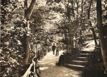 CPA Chatelguyon debajo de la madera en el parque