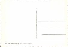 CPA Chatelguyon debajo de la madera en el parque