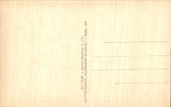 CPA Auvergne Royat Large Hotel Majestic De luxe hotel