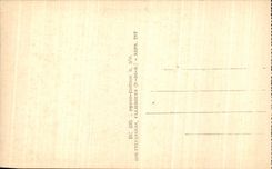 CPA Auvergne Royat Bargoin Park the Old woman Tower