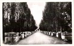 CPA Arles Alyseamps gone Of the Tombs