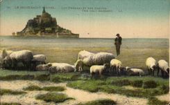 CPA the Mount St Michel Close Dirty Of the Strikes Sheep Shepherd