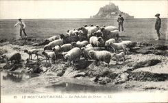 CPA the Mount St Michel Close Dirty of Serious the Shepherd and sheep