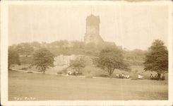 CARTE PHOTO The park 