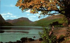 MODERN CARD Log Lubnaig And Ben Shein Perthshire