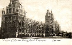 CPA Museum Off Natural History South Kensingtom London