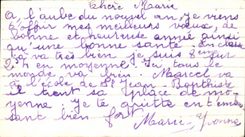 CPA Bonne Heureuse Annee oiseaux