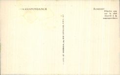 CPA Lourdes the Basilica and the Shelter of the Pilgrims