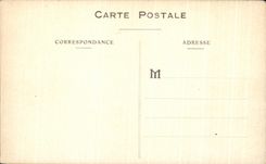 CPA Lourdes Seen On the Basilica Cows