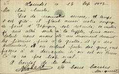 CPA Lourdes the Castle Fort and Mountains