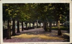 CPA Ferns the Place with the Trees