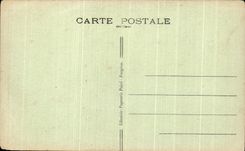 CPA Ferns the Place with the Trees