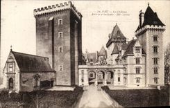CPA Pau Le Chateau Entree Principale