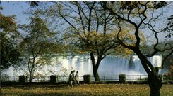 MODERN CARD the Niagara Falls Canada Autum in Queen Victoria Park Showing the American Falls in the Background