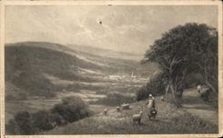 CPA paysage a la campagne Moutons 