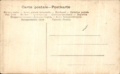 CPA paysage a la campagne Moutons 