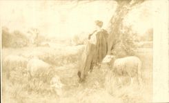 CPA Bergere et ses moutons 