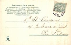 CPA Village Coach of oxen