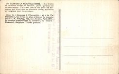 CPA a corner of the New Earth Sheep