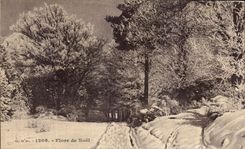 Flora de CPA de la Navidad