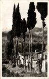 CPA Paysage Provencal Collection La Cote d'Azur