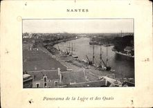 CPA Nantes Panorama Of the Loire And the Quays