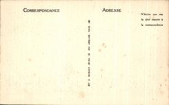 CPA Lourdes the View from above Basilica