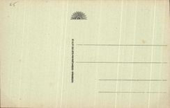 CPA Lourdes the Esplanade and the Castle Fort