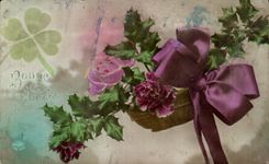 La buena fantasia de CPA florece Aanee