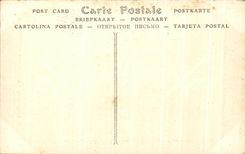 CPA Chateau de Chambord Les Terrasses